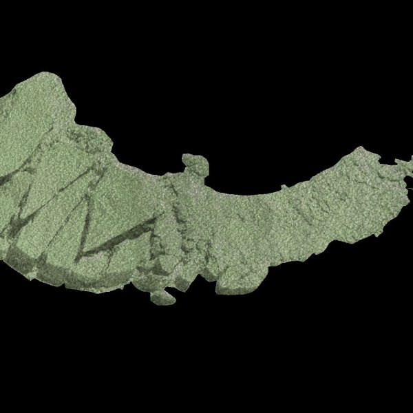 Wet n Wild- Color Icon Single Eyeshadow Envy (1,7 gr) - Image 3