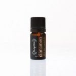 Pure Essential Oil Cinnamon - Evergetikon