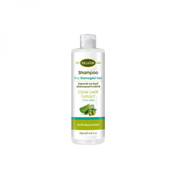 Shampoo Dry/Damaged Hair - Kalliston