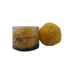 joy-sea-sponge-medium
