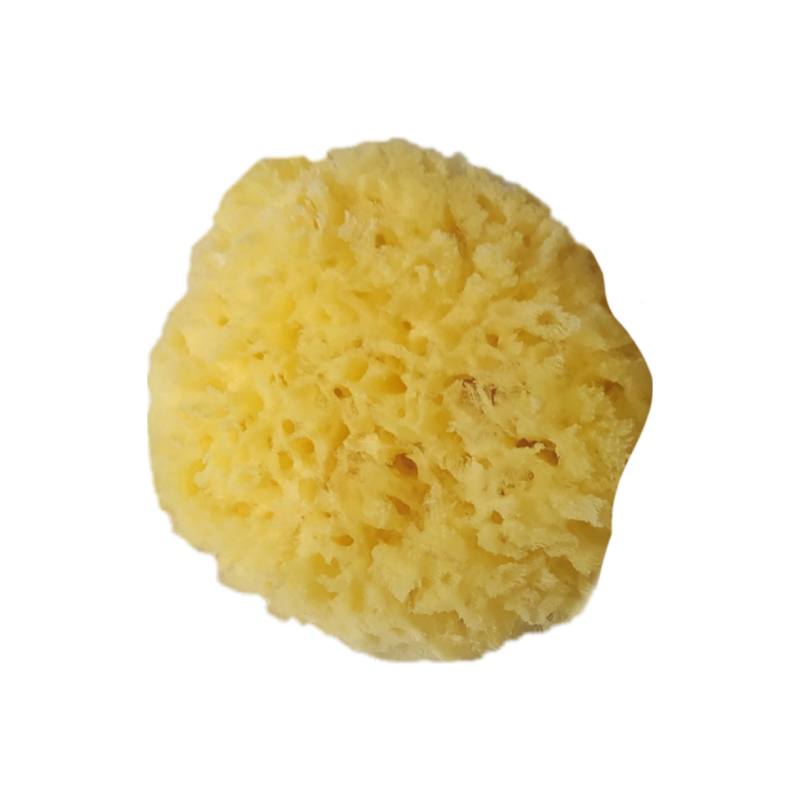 Joy Sea Sponge Big (1 pcs) NATANS Φυσικά Καλλυντικά