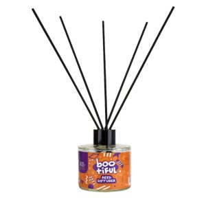 Bootiful Reed Diffuser with sticks - Aloe+Colors