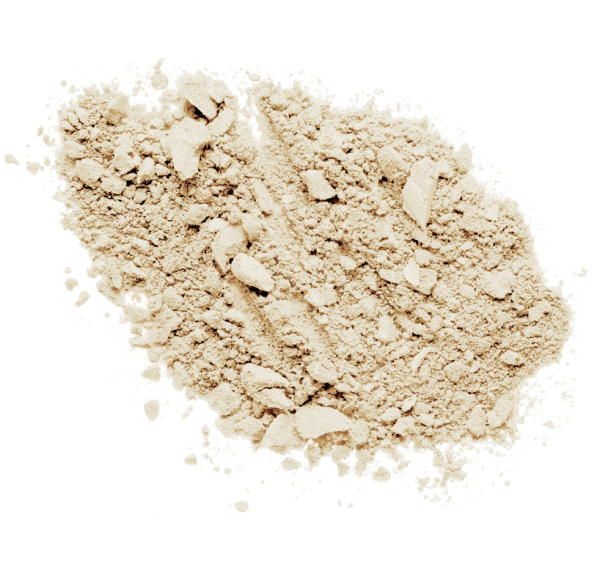 Photo Focus Loose Setting Powder Translucent - Swatch