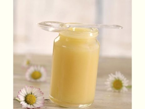 Βασιλικός πολτός - Ελιξίριο νεότητας!